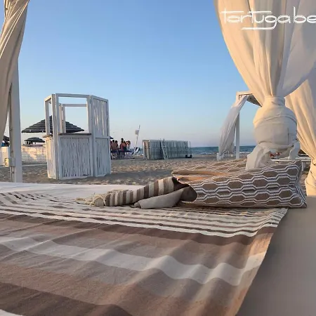 Audi Frontemare Hotel Rimini
