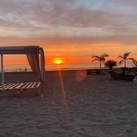 Berenice Mare Hotel Rimini