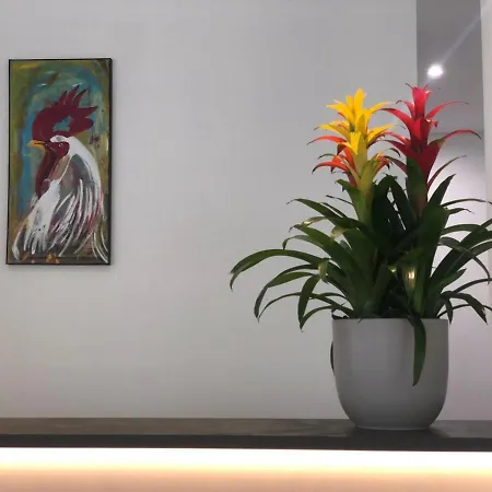 Hotel Palazzo Caveja Rimini