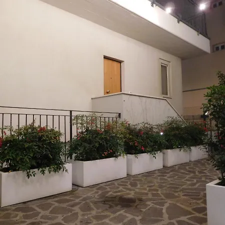 Gabbiano Rimini
