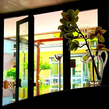 Sonne Hotel Rimini