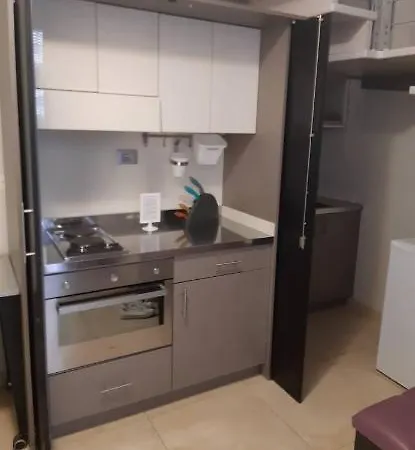 维奥列公寓酒店 公寓式酒店
