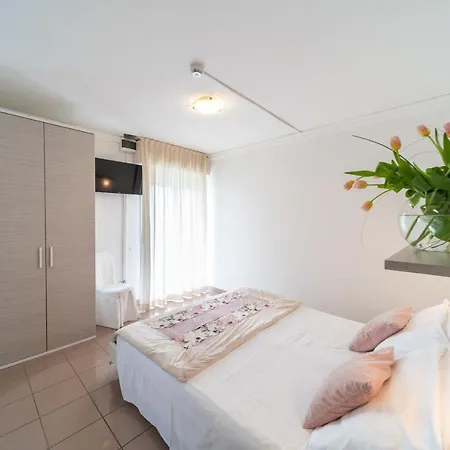 Hotel Ancora 3*