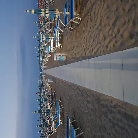 Savina Hotel Rimini