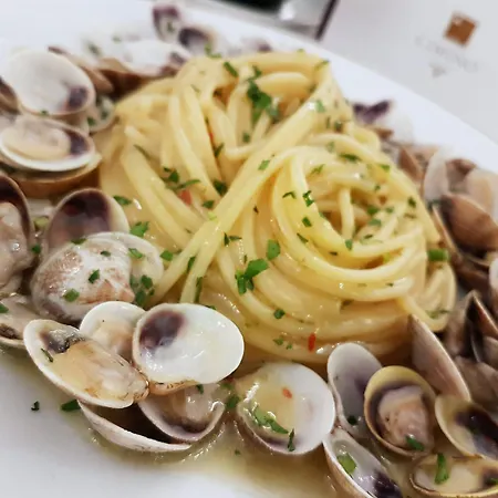 Hotel Vienna Ostenda E Ristorante Il Danubio 4*