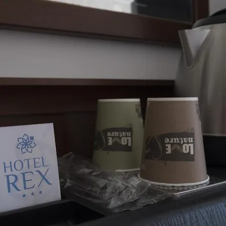 Rex Hotel 3*