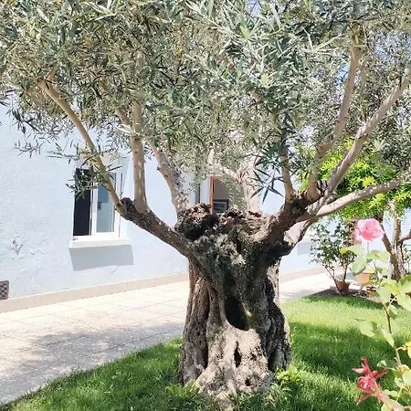 Appartamento Casa Lety Con Giardino, Aria Condizionata E Wifi *