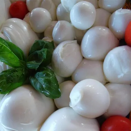 Bed & Breakfast Half Moon Airport Restaurant Rimini