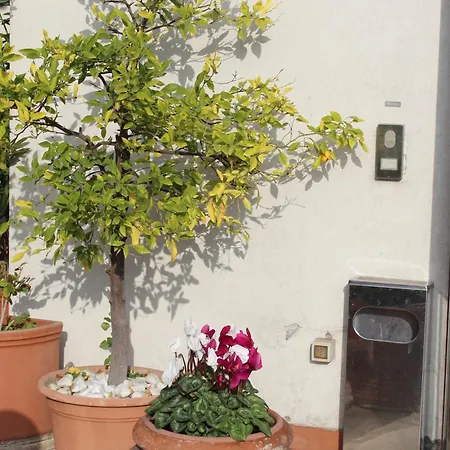 Hotel Arcangelo Roof