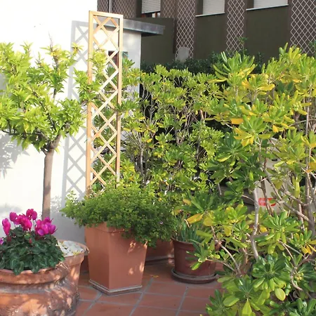 Hotel Arcangelo Roof 3*