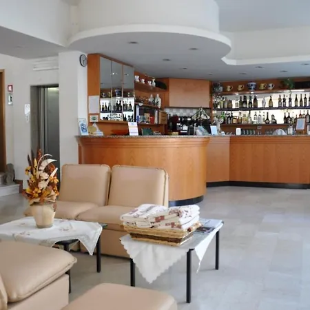 Hotell Nancy 3*