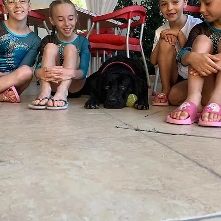 ميغاني سبياغيا فندق 2*