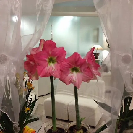 Hotel Noidue Hotel Rimini
