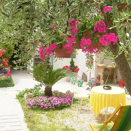 Noidue Hotel Rimini