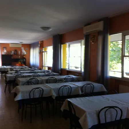 Viking Rimini