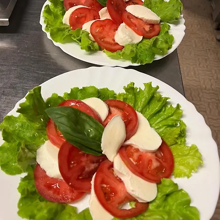 فندق Vienna Rivazzurra