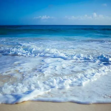 Appartamento Miramare