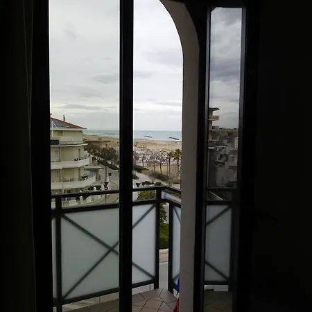 Gabbiano Rimini