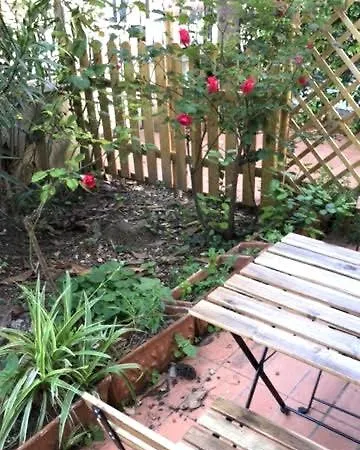 Sun Garden House