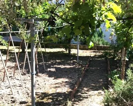 Vakantiehuis Sun Garden House *