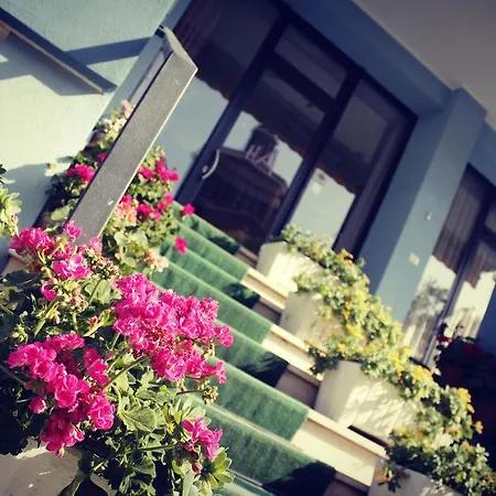 Amoha 2* Rimini
