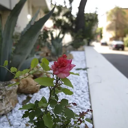 Luxor فندق ريميني