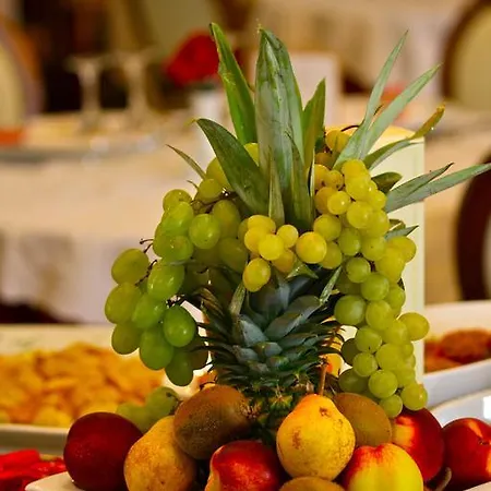 Hotel Vienna Ostenda E Ristorante Il Danubio Rimini