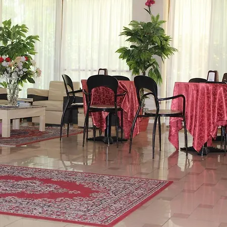 Condor Hotel 3*