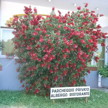Hotel Filiberto 3*