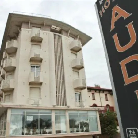 Hotel Audi Frontemare 3*