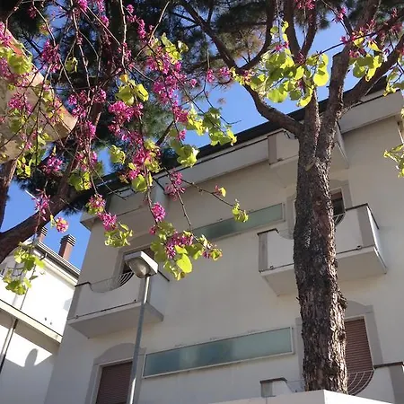 Hotel Daniela