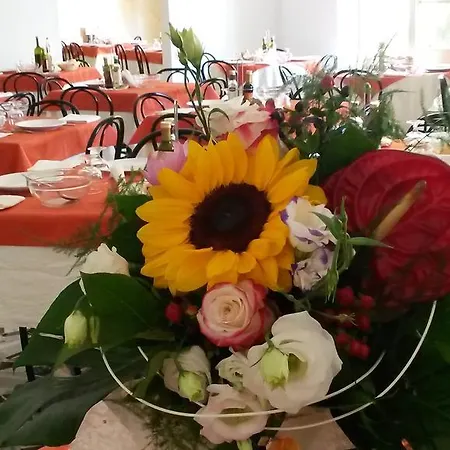 酒店 卡梅利亚酒店 里米尼