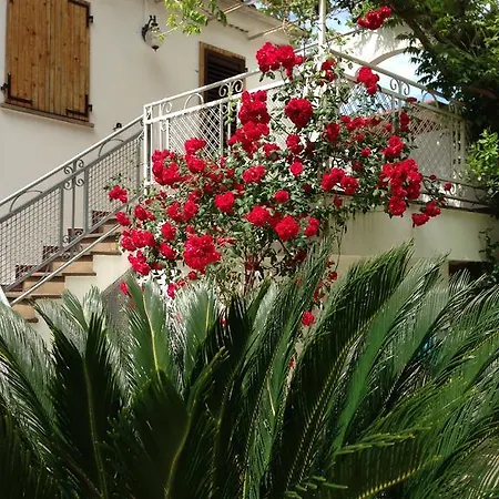 Noidue Hotel Hotel 2*