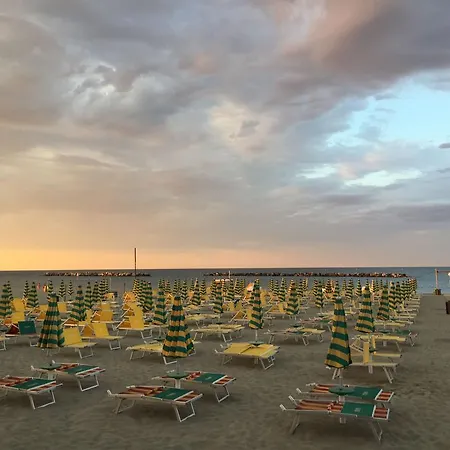 Viking Rimini