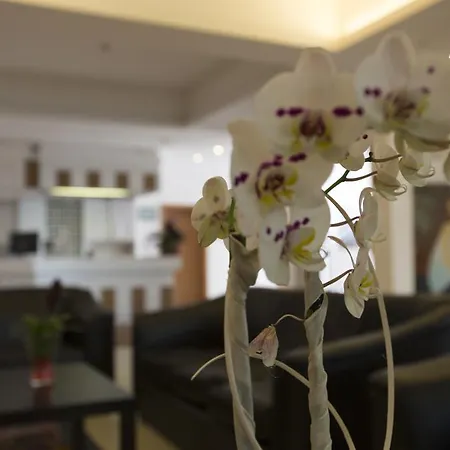 Impero Hotel Rimini
