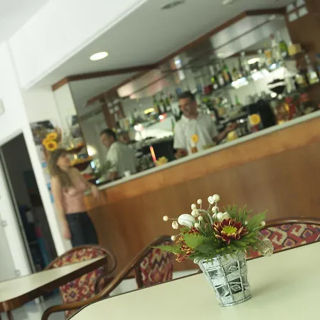 欧洲花园酒店 3* 里米尼