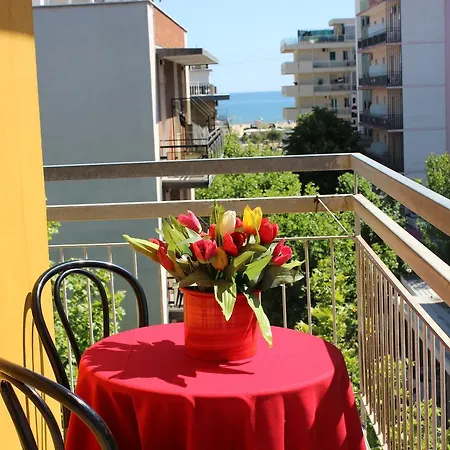 Amados Hotel Rimini