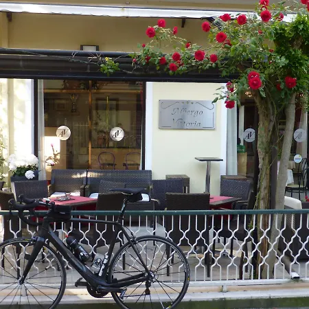 Hotel Vittoria 3*