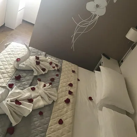 Hotel Losanna Rimini