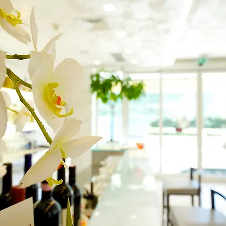 Mercure Artis 4*