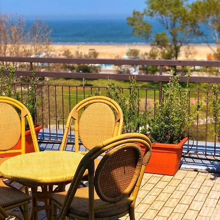 Amoha Rimini