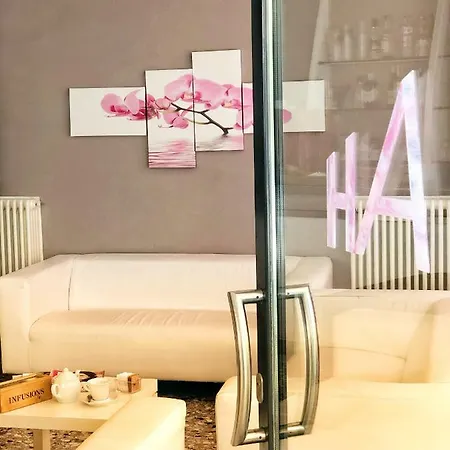 Amoha Rimini