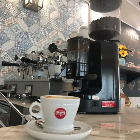Rex Rimini