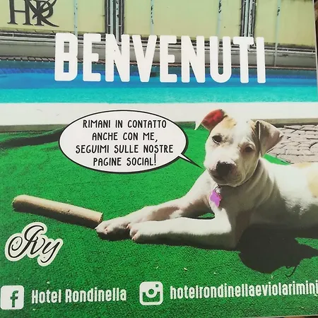 Rondinella E Viola Hotel