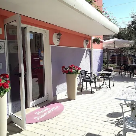 Hotel Fiammetta Rimini