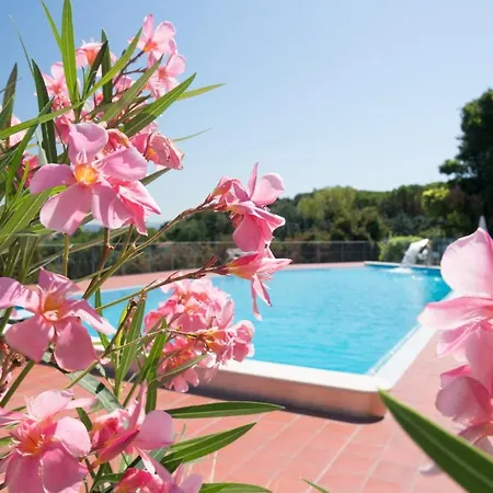 Bed & Breakfast Leda