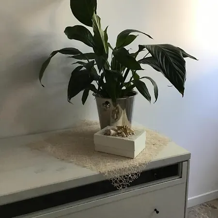 Stella Di Mare Apartment *