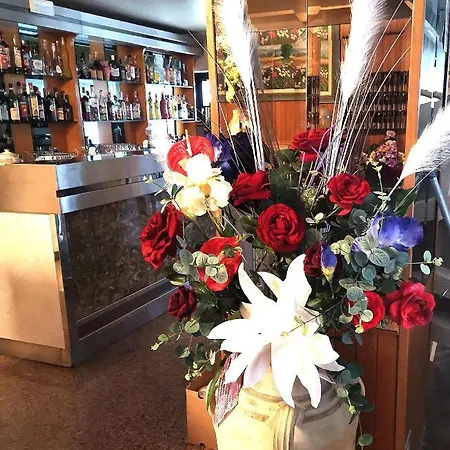 Hotel Alcazar Rimini