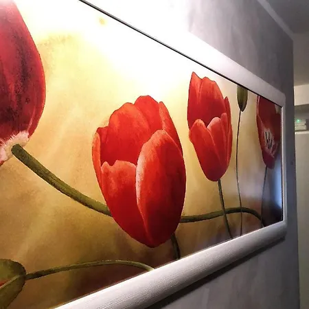 Alcazar Hotel Rimini