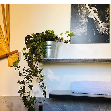Bed & Breakfast La Volpina